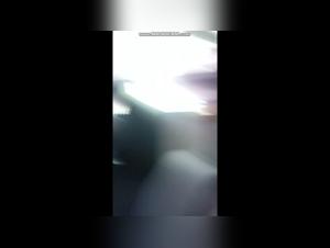 Forbidden meeting: Woman and dog