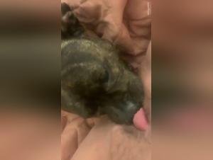 Bestial encounter: woman and dog