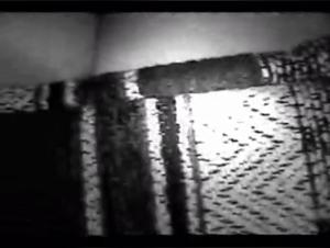 Blonde Wife and Her Best Friend on All Fours - Bestiality Sex Video