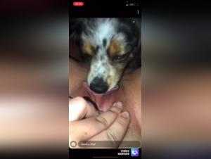 Bestiality Sex Video: Dog Licking Deep