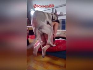 Home sex with a dog
