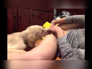 Exciting Encounter: Woman and Dog