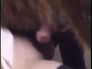 Woman fucks horse hardcore zooophilia sex video