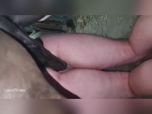 wild rd zoo fetish videos