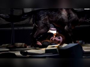 Bestiality: A Forbidden Encounter