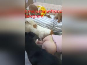 asian dog gangbang hardcore porn