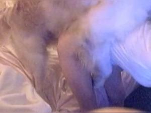 A Bestial Experience with a Dog