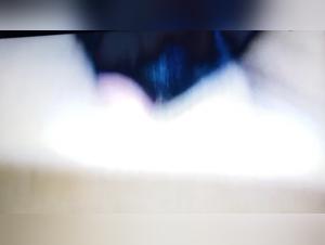 Bestiality: A Forbidden Encounter