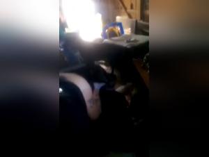 A Girl Gets Revenge: A Sex Story with a Dog