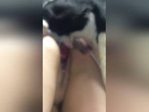 Sex with a dog: an experienced grandmother and a dog