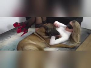 Forbidden Meeting: Woman and Dog