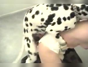 Amateur Wife and Her Dog: An Extreme Sex Video