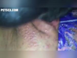 Intimate Moment with a Four-Legged Friend