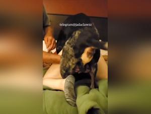 amateur woman fucked by a dog (homemade)