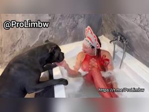 Hund vögelt die Frau