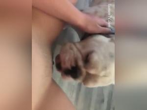 A beastly encounter between a teen and her dog