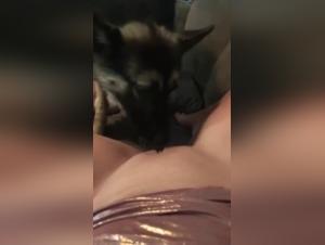 Zoophilia video: submissive dog and dominant woman