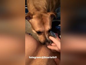 jugendliche schreiend will hundssex