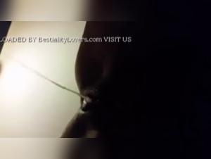 Forbidden Meeting: Sex with a Dog