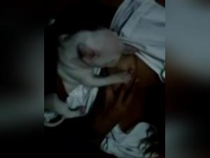 Woman Breastfeeding A Puppy - Extreme Bestiality Video