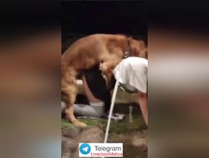 Chinesin trainiert Hund Sex Teil 1