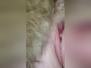 Amateur Wife and Dog: A Bestial Sex Encounter