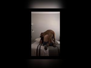 dog sex teen: lupinelover complete collection