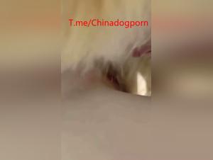 la belle chinoise et son chien sauvage