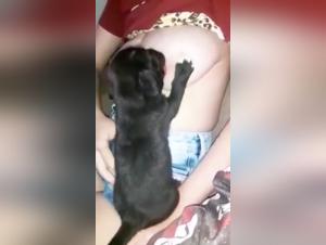 chienne insatiable, seins niais jamais secs