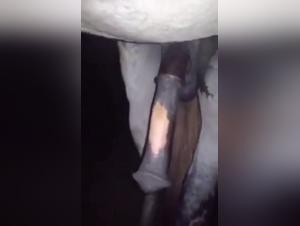 animal shows off his penis