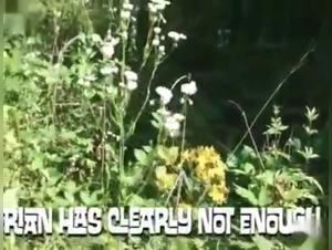 Femme soumise dans les bois : une vidéo de bestialité choquante