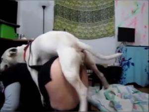 Doggystyle with slut: Animal Sex Extreme