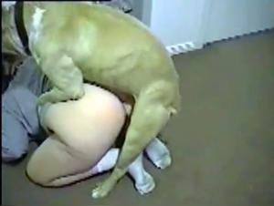 Extreme Canine Bestiality Sex: Dog Fuck for Hot Girls