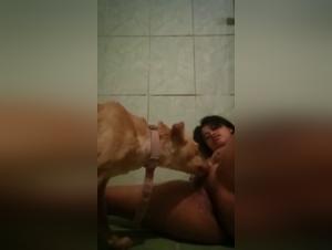 Videos of women and dogs in bestial practices