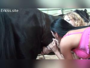 Bestiality: Women and Horses