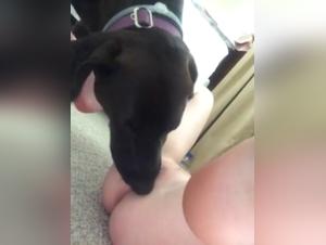 Sex video with a dog: a teenager discovers bestiality
