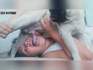 baise animale : chien fougueux et salopes soumis