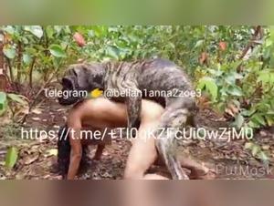 Canine Lactation: A Unique Experience