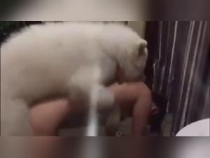 Asian Teen's Extreme Bestiality Experience