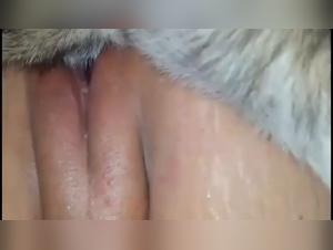 Watch my dog porn private video sex with him