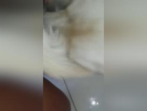 Brazilian woman in the extreme with her dog - Part 2: A shocking zoophilia video