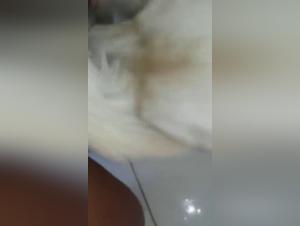Woman fucking with her dog: a shocking video