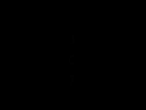 The Lesbian Woman and Her Dog: A Passionate Relationship