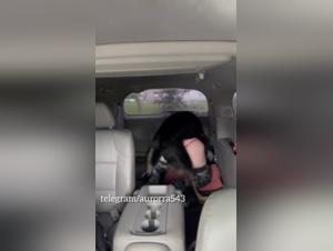 Hund Sex - Frau Teil 1