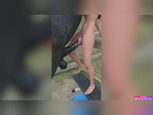 passion bestiale : chevaux sauvages et sexe intense