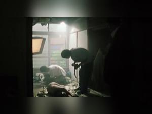 Breathtaking amateur bestiality sex videos