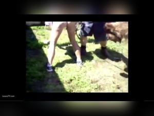 art of zoo beastiality videos