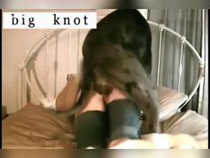 Zoo Tube: Your Destination for New Beastiality