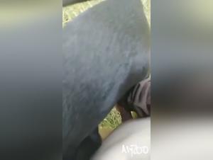 Wild Sex with a Hot 18-Year-Old whore in an open park for her colleague at work in this zooschool