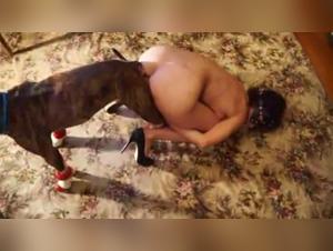 Dog sex video: a woman and her dog in an intimate relationship